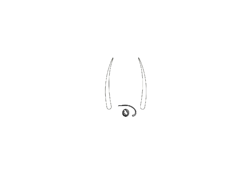 Drone Center Logo